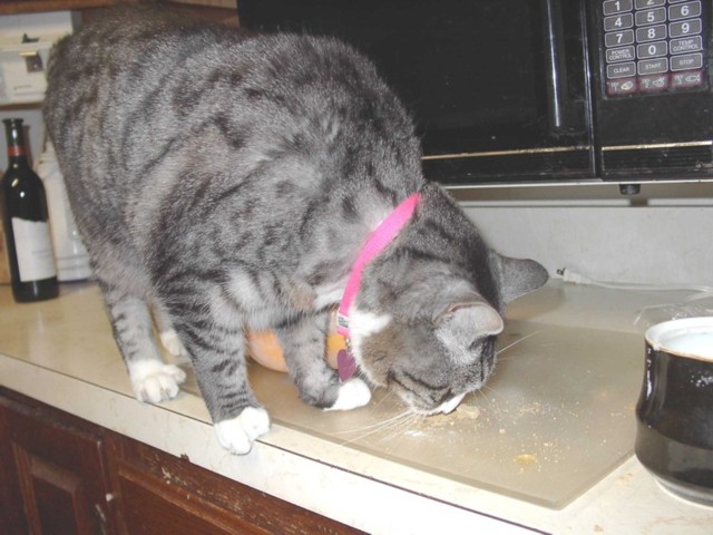 Image 106 of 106  -  73 kB